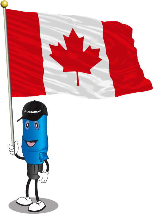 Dosie Canadian Flag - Canada Flag (539x734), Png Download