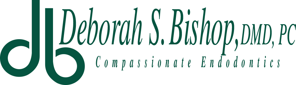 Bishop, Dmd, Pc Logo - Logo (1022x295), Png Download