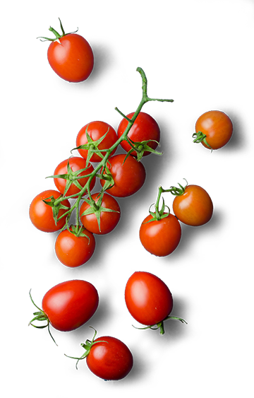 Download Tomates Cerise Vegetable Png Top Wiev Png Image With No Background Pngkey Com Download Tomates Cerise Vegetable Png Top Wiev Png Image With No Background Pngkey Com