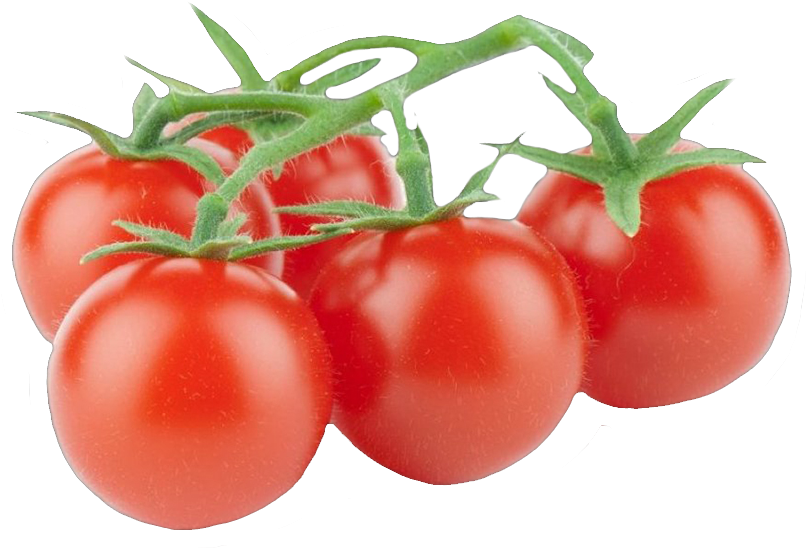 Tomate Cherryrama - Tomate Cherry Rama (1280x960), Png Download