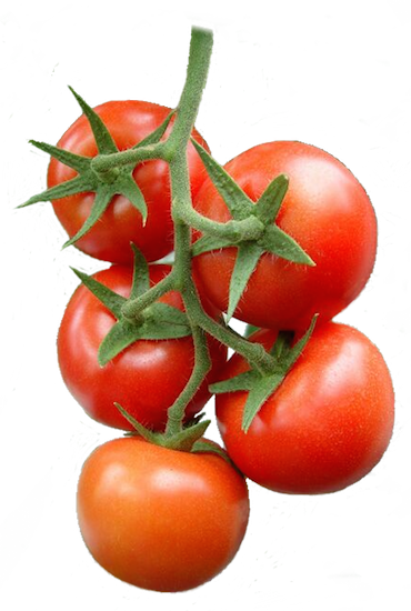 Buchet De Tomate - Томаты Пнг (370x550), Png Download