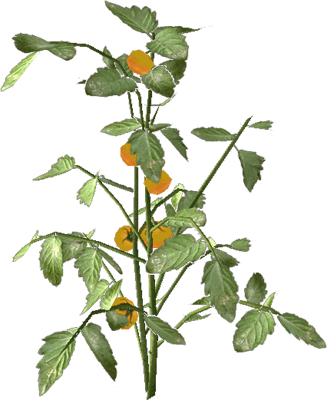 Tomate - Portable Network Graphics (327x400), Png Download