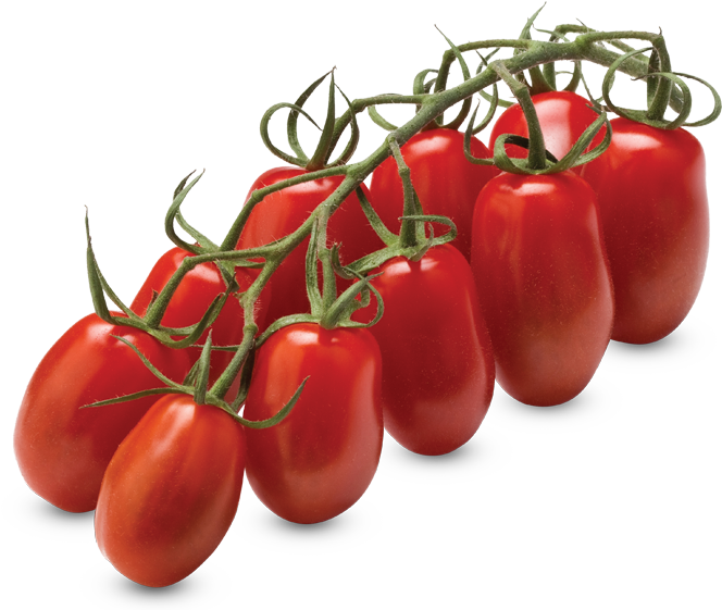 Mini San Marzano Vine Tomatoes - Certified Organic Seeds (apr. 100) - San Marzano Paste (800x560), Png Download