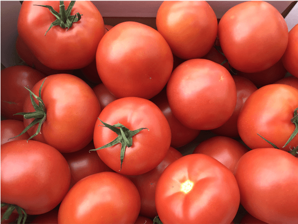 Tomate - Tomato (600x600), Png Download