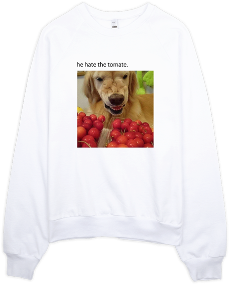 Sweatshirt (600x600), Png Download