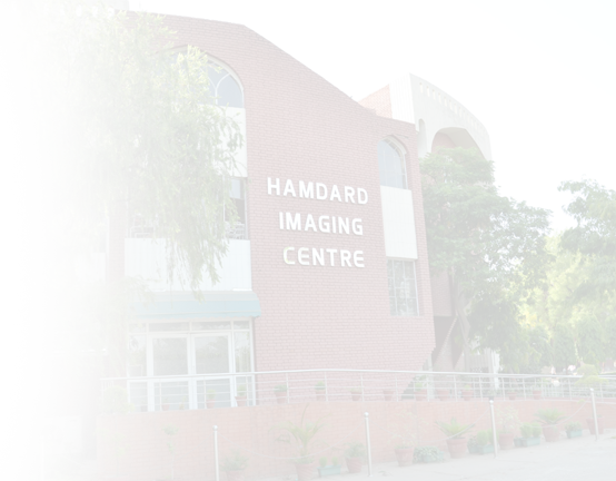 Cantaner-bg2 - Facade (554x432), Png Download