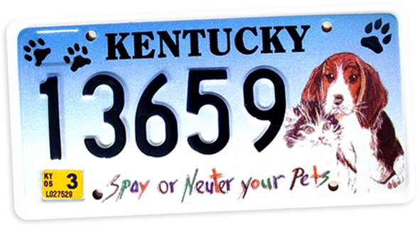 Spay And Neuter Your Pets - Hôtel Des Mille Collines (591x320), Png Download