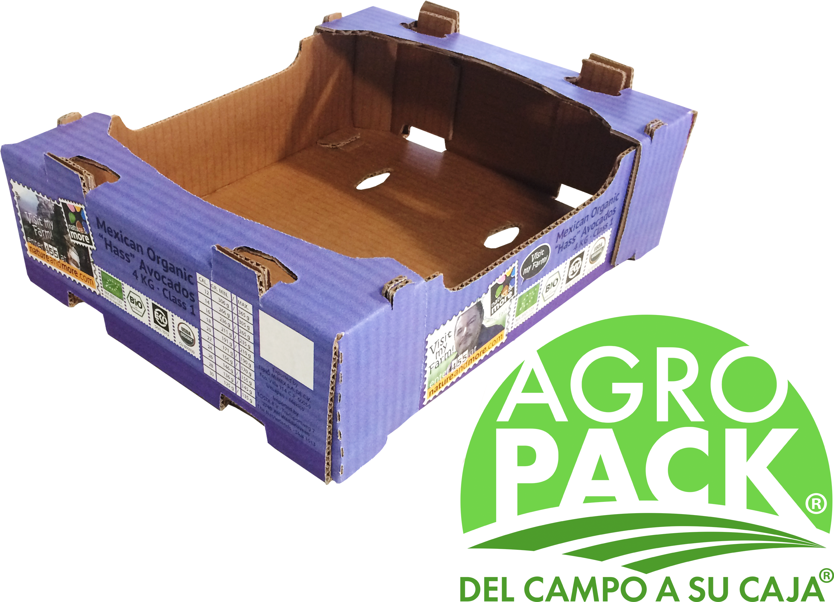 Alt - Caja De Carton Para Aguacate (3264x2448), Png Download