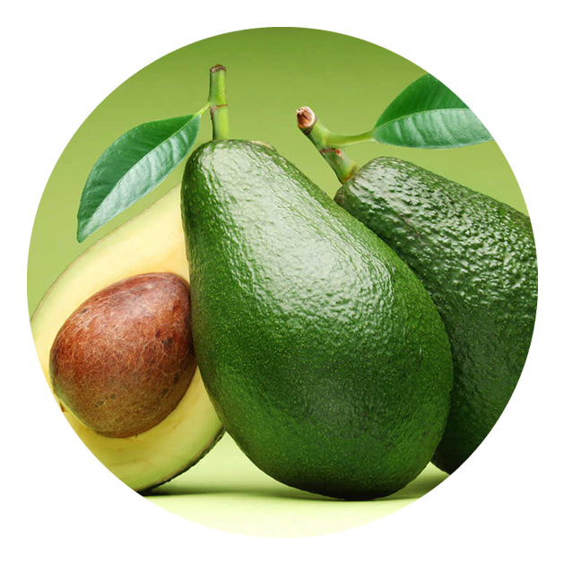 Contactenos - Boost Metabolism And Lose Weight Essentials (700x700), Png Download