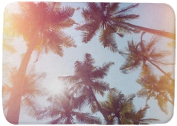 Palms Trees On A Beach Vintage Stylized With Film Light - Film (400x400), Png Download