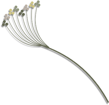 Marcos Gratis Para Fotos - Wire (400x375), Png Download