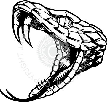 Download Snake Fangs Png Clip Royalty Free Library - Rattlesnake Black And  White PNG Image with No Background - PNGkey.com
