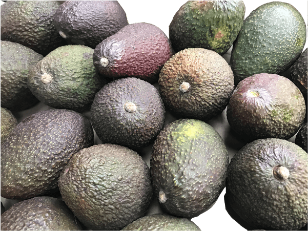 Aguacate - Food (600x600), Png Download