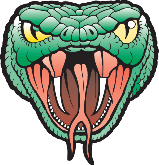 Viper Head Only (533x555), Png Download