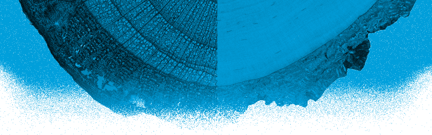 Macro/micro - Sea (1441x452), Png Download