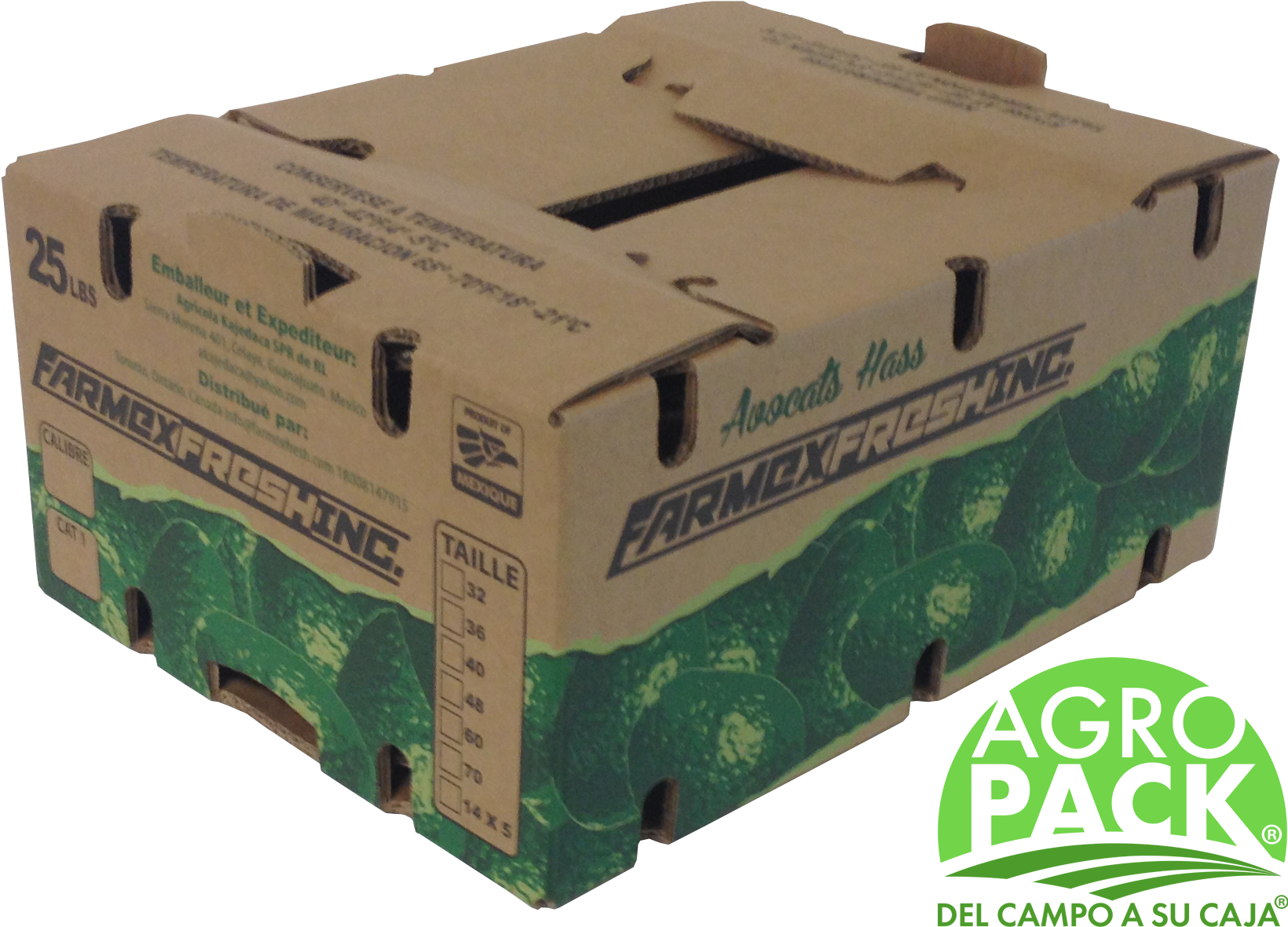Caja De Aguacate - Cajas De Carton Para Aguacate (1779x1297), Png Download