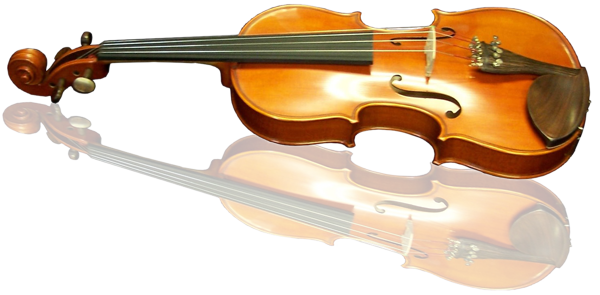 Orchestral Instruments - String Violin Orchestral Instruments (600x295), Png Download