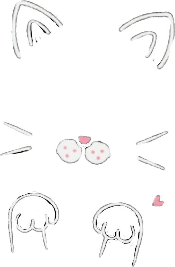 Report Abuse - Snow Cat Filter Transparent (719x1100), Png Download