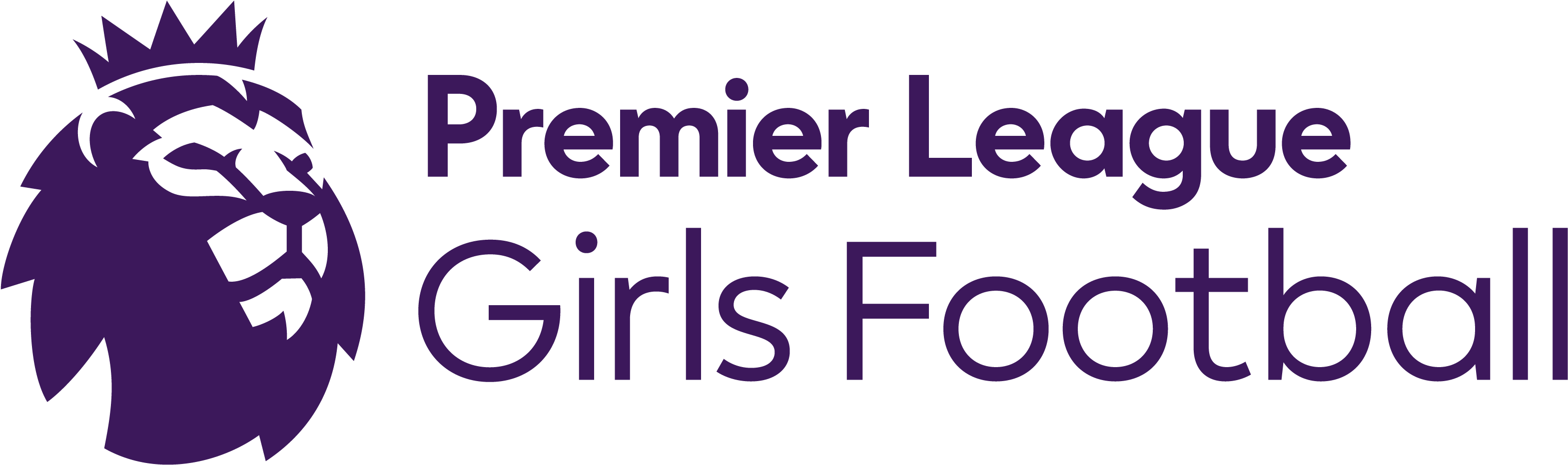 Premier League Girls Football - Premier League Equality Standard (3543x1336), Png Download
