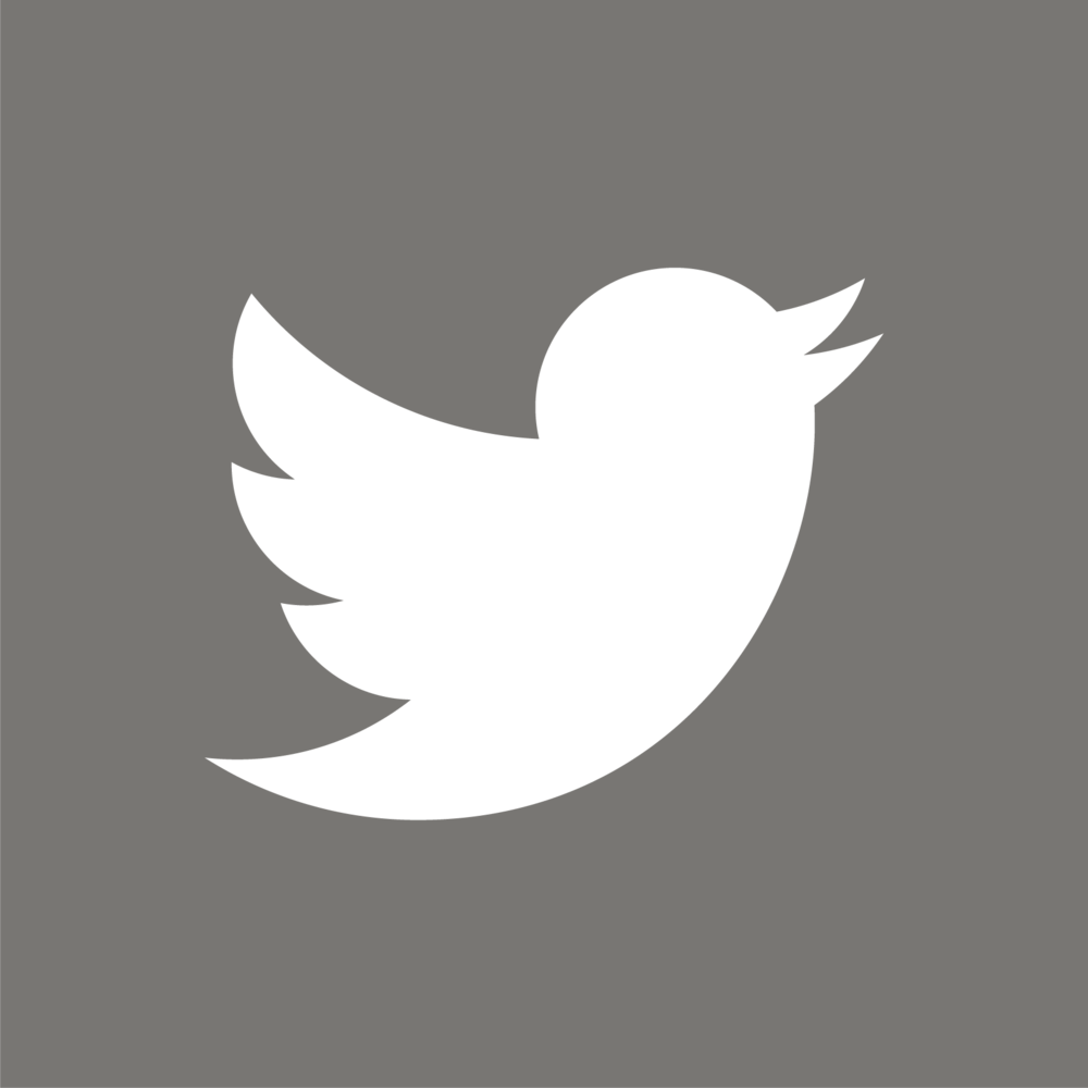 Twitter Logo Clear On Grey-05 - Twitter Logo On Grey Background (1000x1000), Png Download