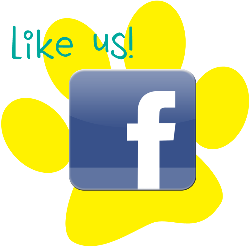 Picture - Twitter (842x800), Png Download