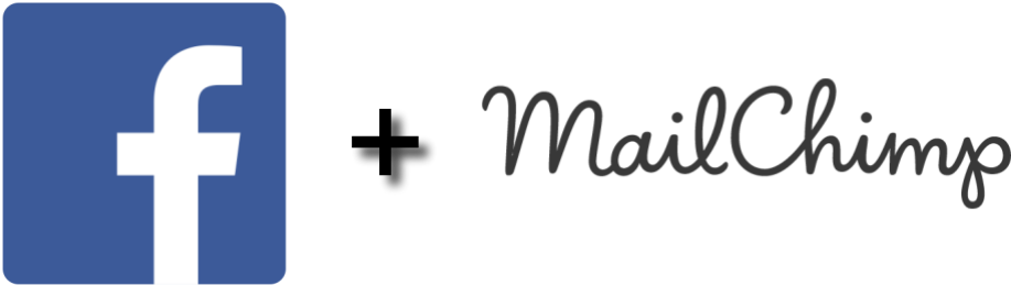 How To Create A Facebook Custom Audience From New Mailchimp - Mailchimp (919x265), Png Download