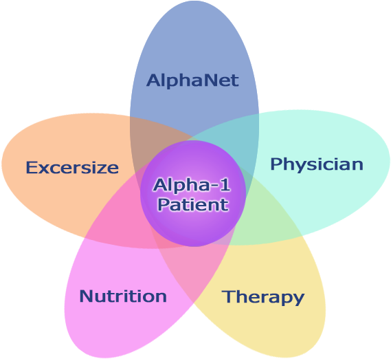 Venn Diagram Big - Diagram (590x541), Png Download