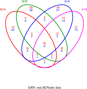 Venn Diagram For 4 Samples From Gatk And Bcftools - Rna-seq (504x504), Png Download