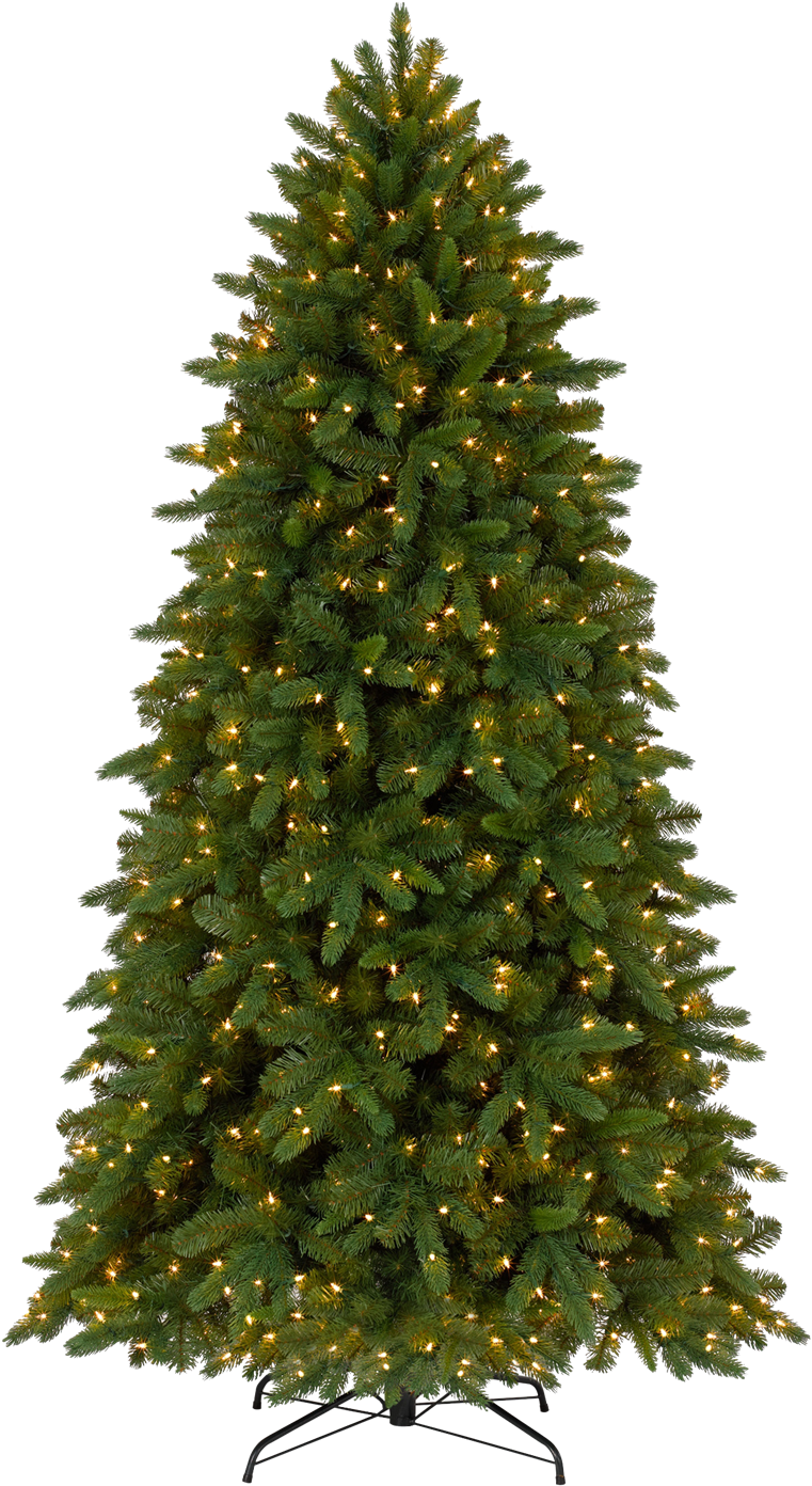 Unlit Christmas Tree (1200x1454), Png Download