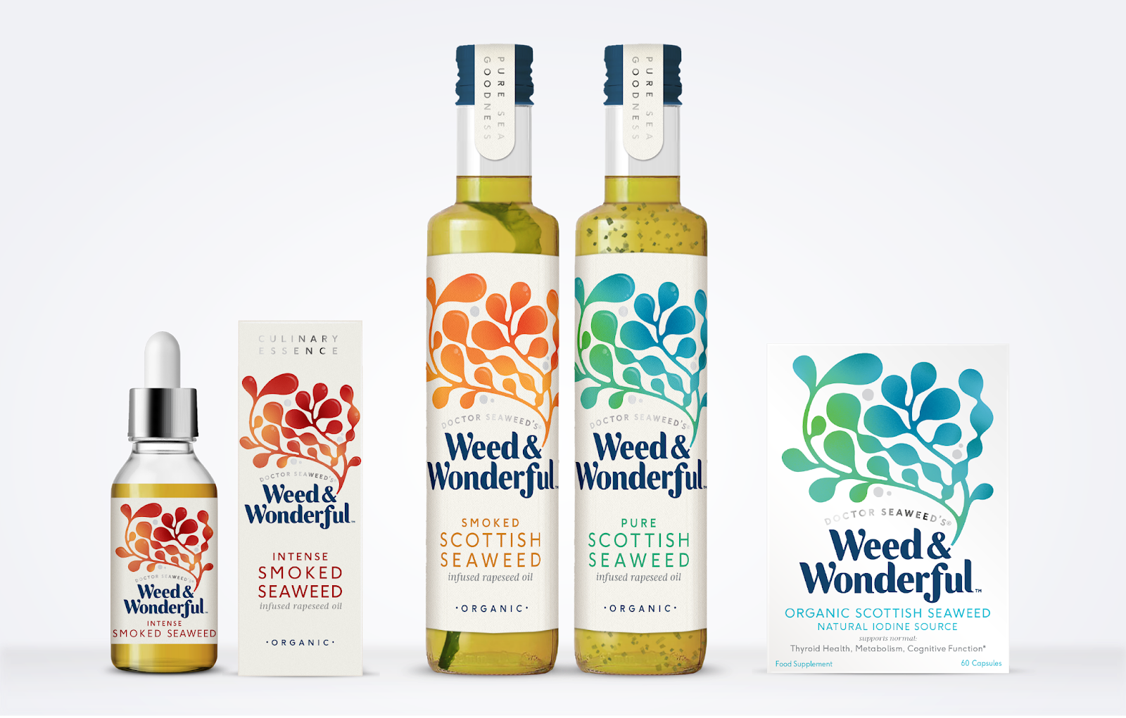 Family Strategy Director - Weed & Wonderful (1600x1021), Png Download