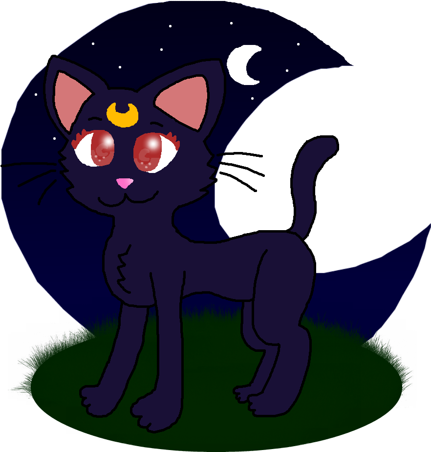 Favorite - Cat (1064x1046), Png Download