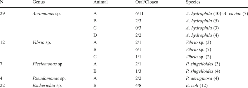 Of Bacteria Download Table - Bacteria (850x303), Png Download