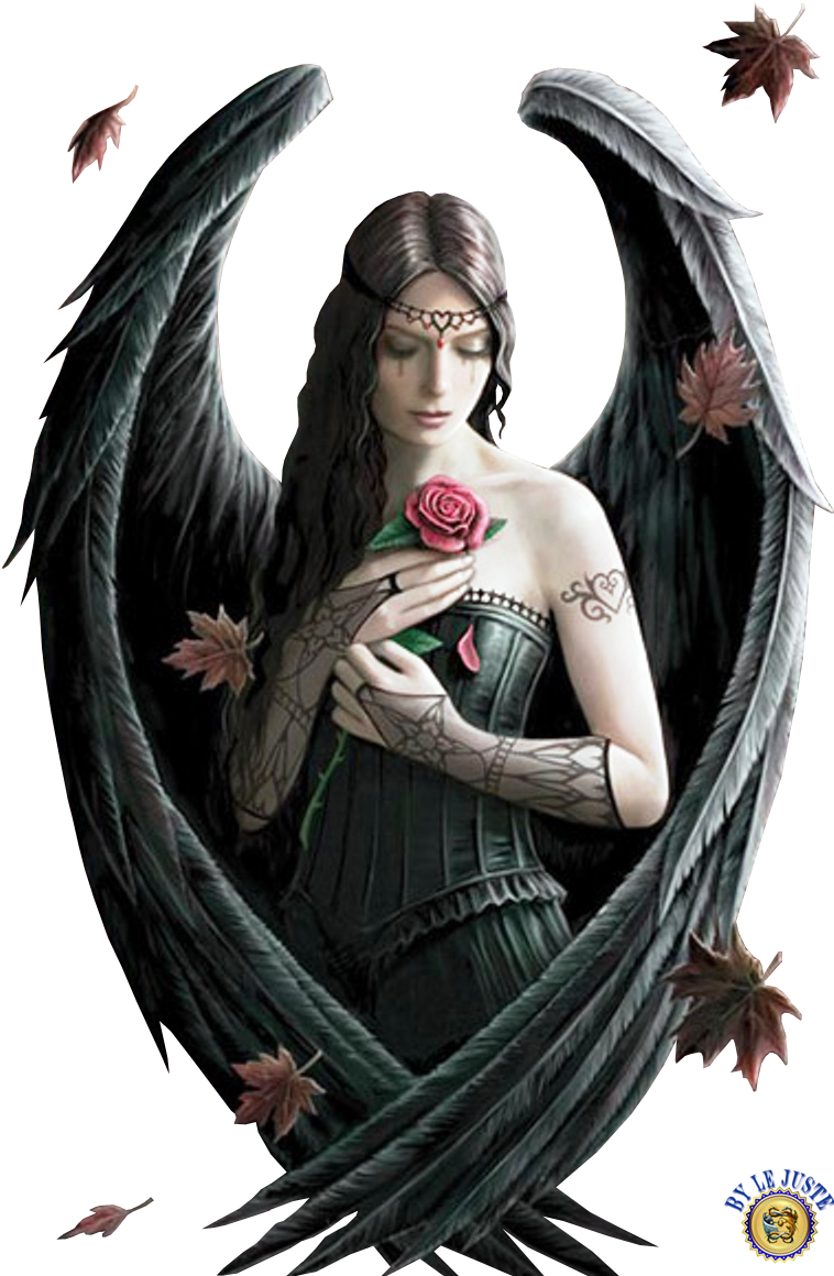 Dark Angels, Fallen Angels, Gothic Artwork, Angel Artwork, - Anne Stokes Angel Rose Poster 24x36 (800x1200), Png Download