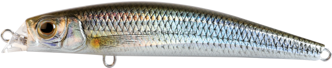 Mullet (700x700), Png Download