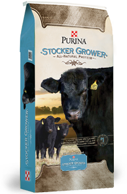 Purina® Stocker Grower - Purina All Natural Protein Stocker Grower Cattle Feed (300x430), Png Download