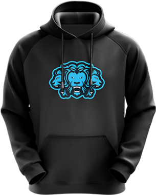 Cerberus Black Hoodie - Tattoo Inspired Dragon Hoodie | Custom Sweatshirt | (480x480), Png Download