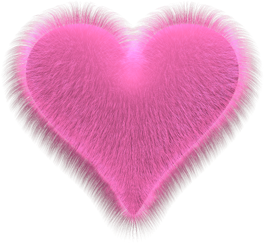 Fur Heart Transparent Png (600x600), Png Download