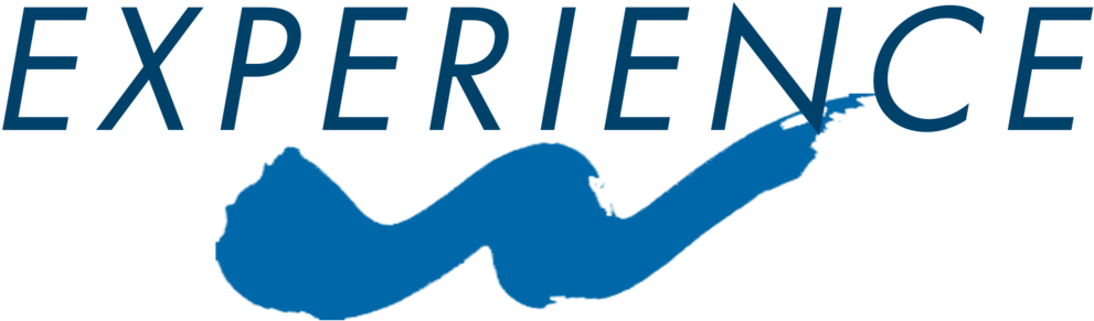 Experience - Portable Network Graphics (1000x343), Png Download