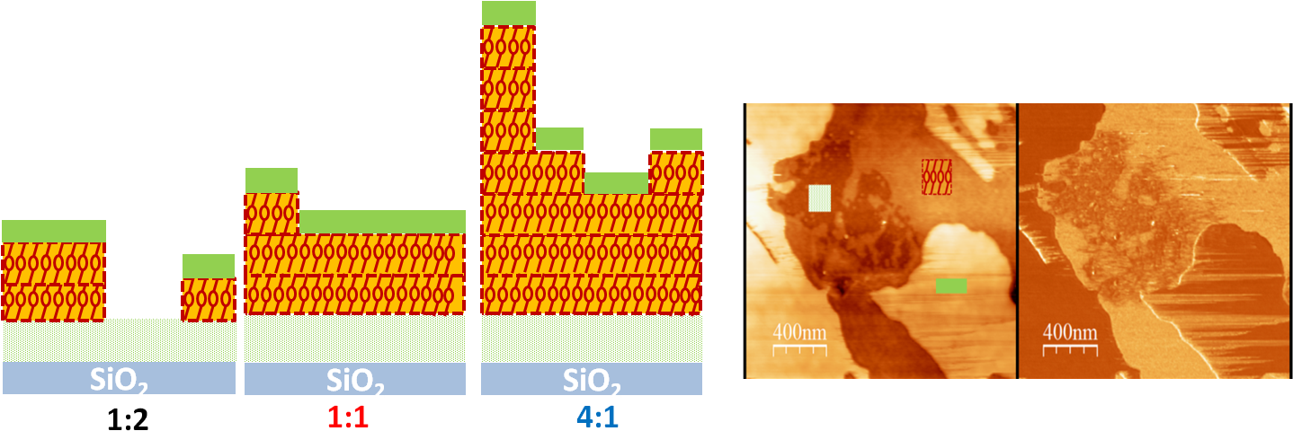 Graphic Design (1445x498), Png Download