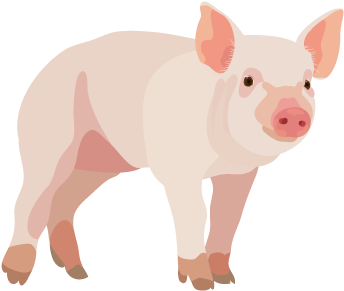 201408 Pig - Pig Png (400x400), Png Download