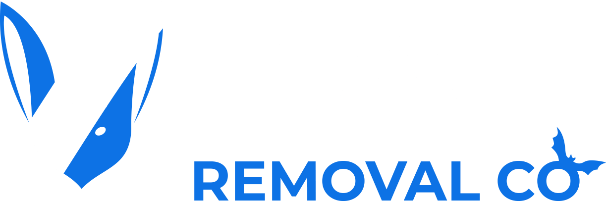 Bat Removal Co (1223x406), Png Download