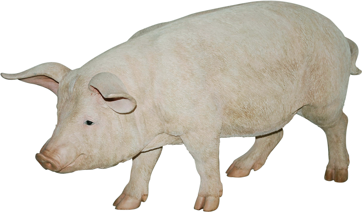 Pig Png Image - Pig Png Transparent Background (1299x870), Png Download