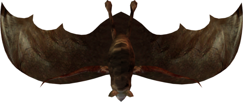 The Little Bats Have A Wingspan Of About 2 Feet - Pacific Sturgeon (800x335), Png Download