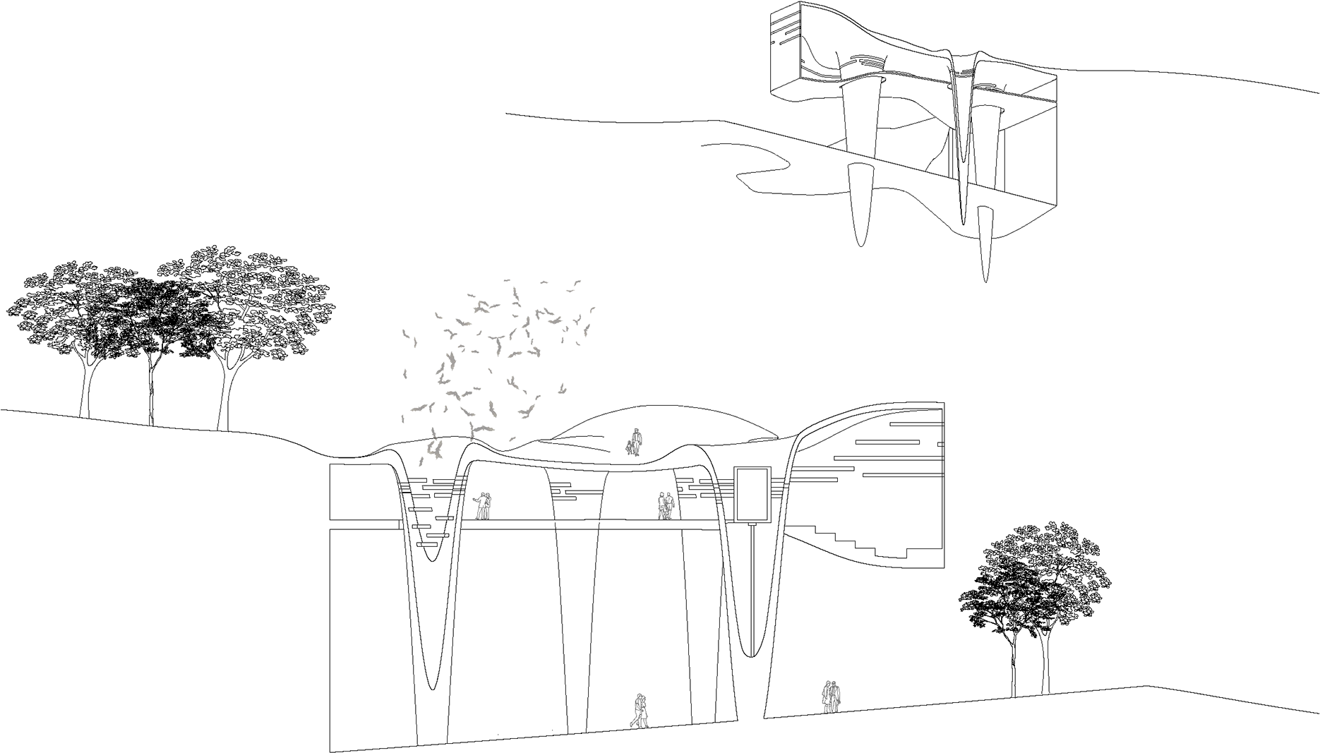 At Night When The Bats Awaken, Visitors Can Experience - Bat (1920x1242), Png Download
