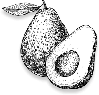 The Fruit Eventually Made Its Way Across The Atlantic - Black And White Picture Of Avocado (399x342), Png Download