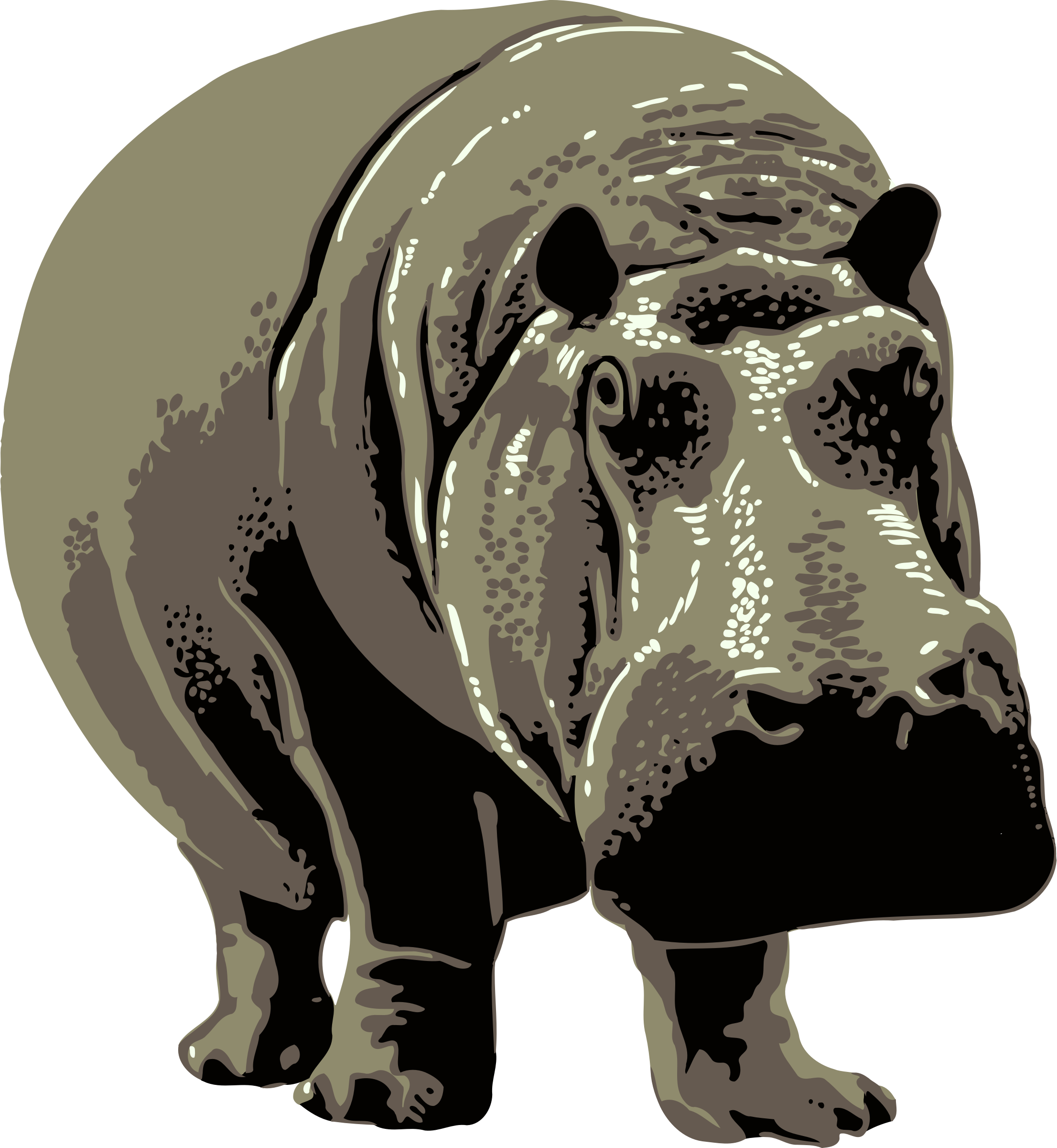 Hippo Photo Background - Zoo Posters (2212x2400), Png Download