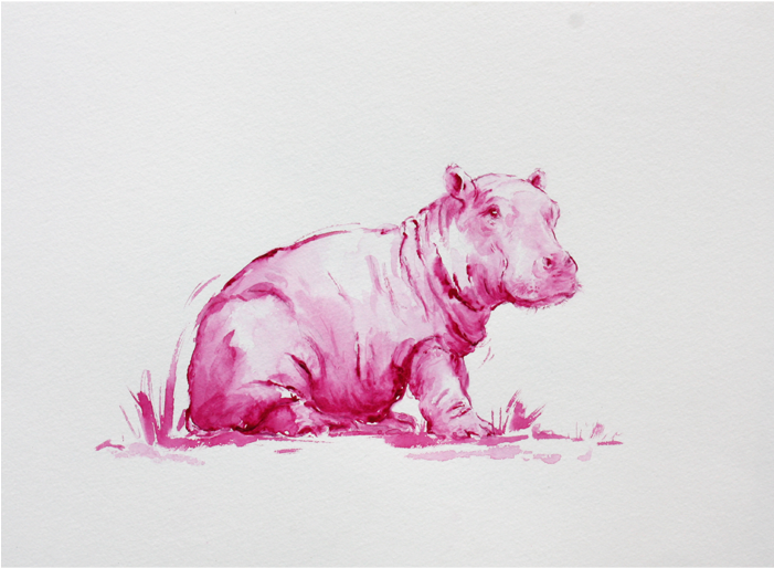 Pink Hippo - Hippopotamus (700x700), Png Download
