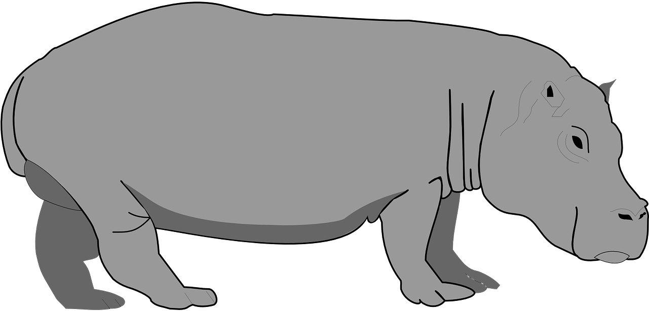 Hippo Gray Hippopotamus - Hippopotamus Clipart (1280x640), Png Download