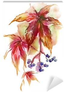 Watercolor Virginia Creeper Twig Wall Mural • Pixers® - Watercolor Painting (400x400), Png Download