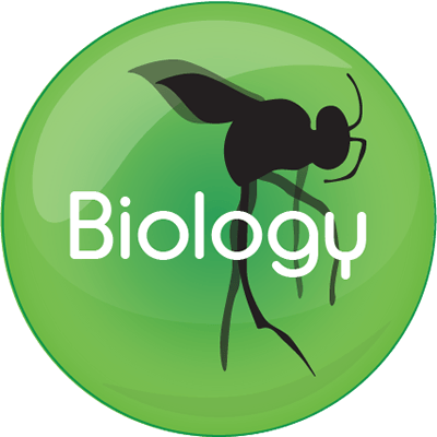 Energy And Growth - Student Welfare Organisation In Bergen (400x400), Png Download